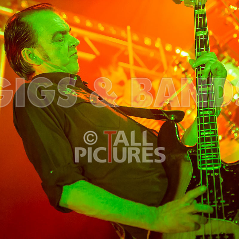 The Electric Shakes-35 - THE ELECTRIC SHAKES