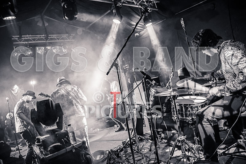 Surfin Birds-15 - SURFIN' BIRDS