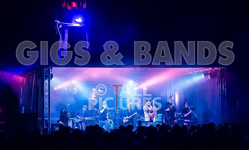 Sons of the Desert-241 - SONS OF THE DESERT