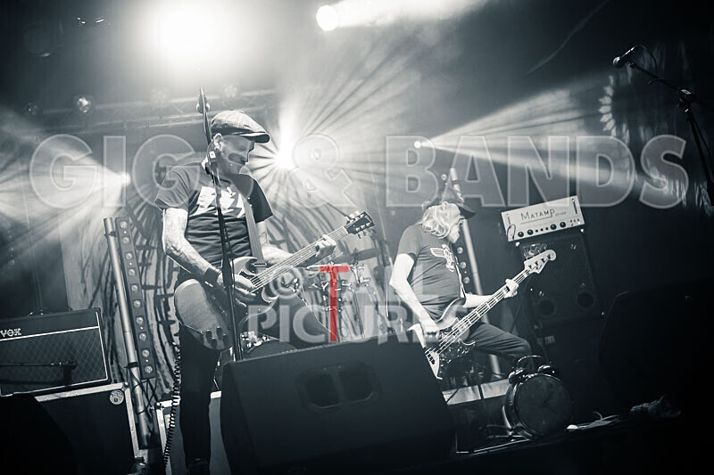 The Electric Shakes-173 - THE ELECTRIC SHAKES