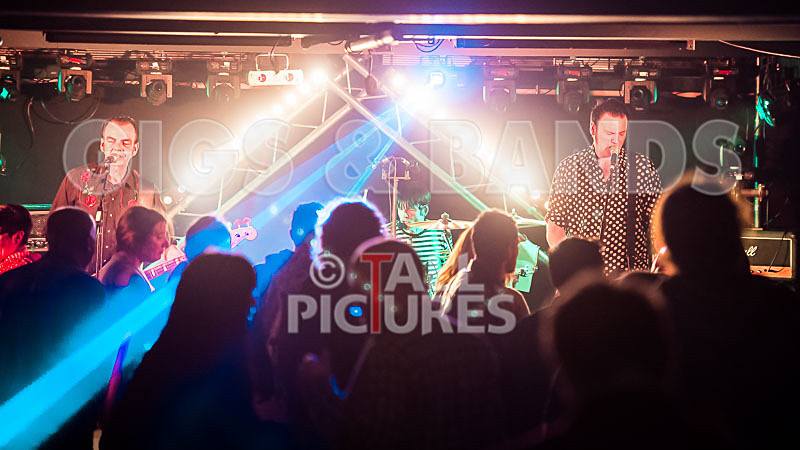 The Electric Shakes-77 - THE ELECTRIC SHAKES