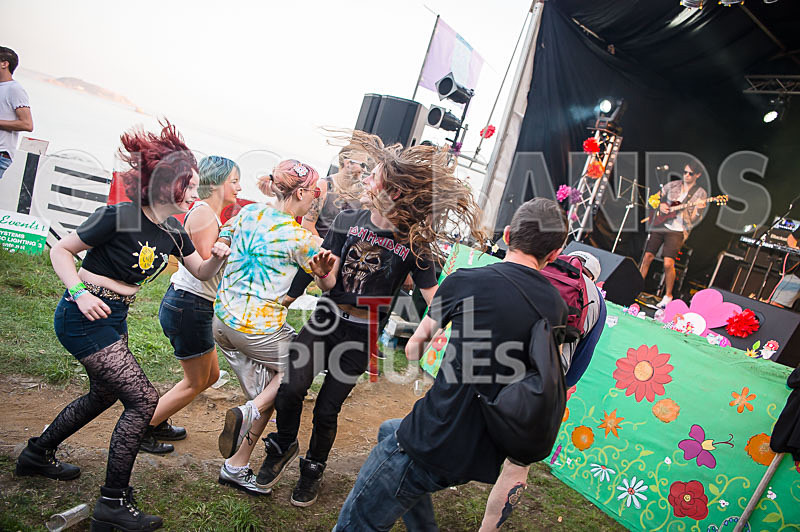 Vale Earth Fair 2017_SCENE-100 - VALE EARTH FAIR 2017_THE SCENE