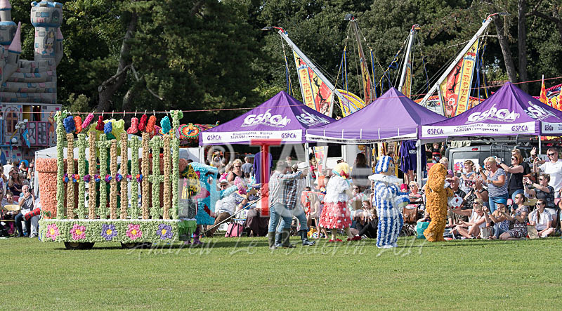 North Show 2017-152 - NORTH SHOW 2017
