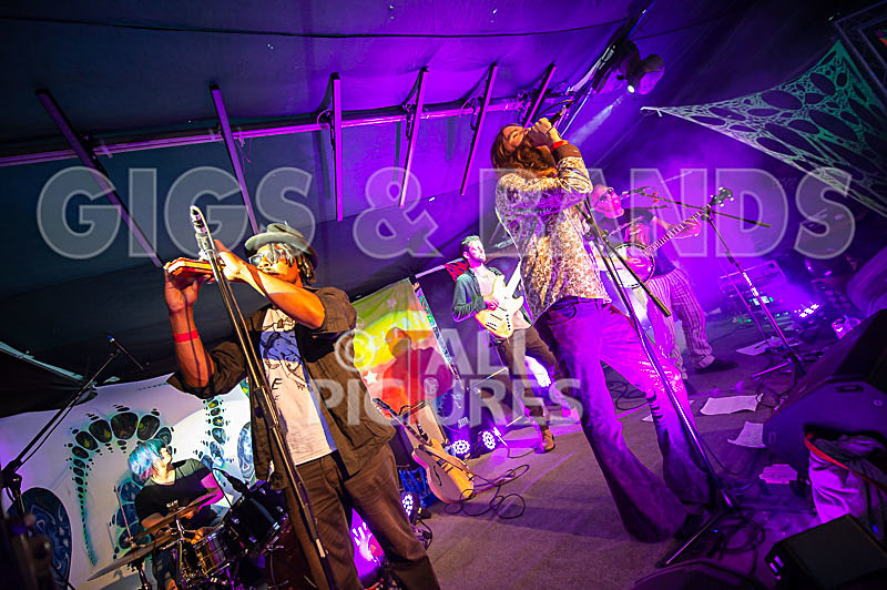 The Recks-801 - THE RECKS