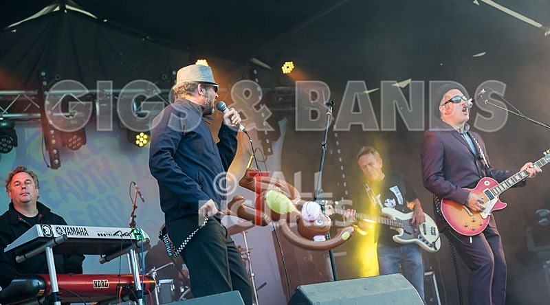 Sons of the Desert-205 - SONS OF THE DESERT