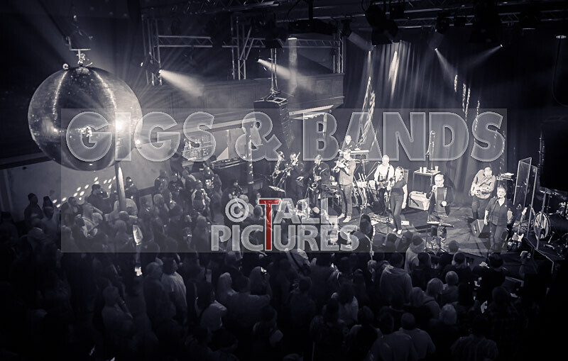King Rat  the Soul Cats-479 - KING RAT & THE SOUL CATS