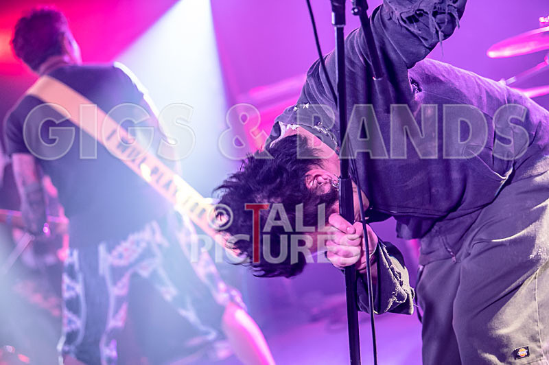 Morllyheads-15 - MORLLYHEADS