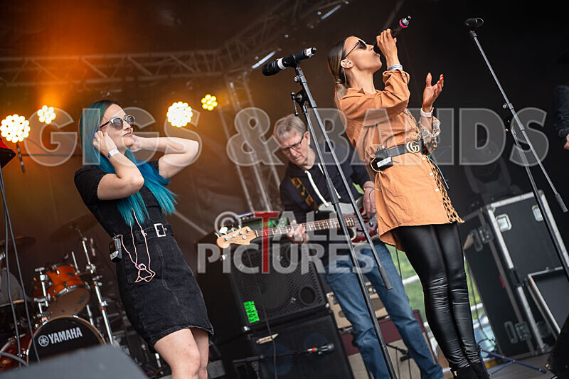 Element 6-30 - ELEMENT 6