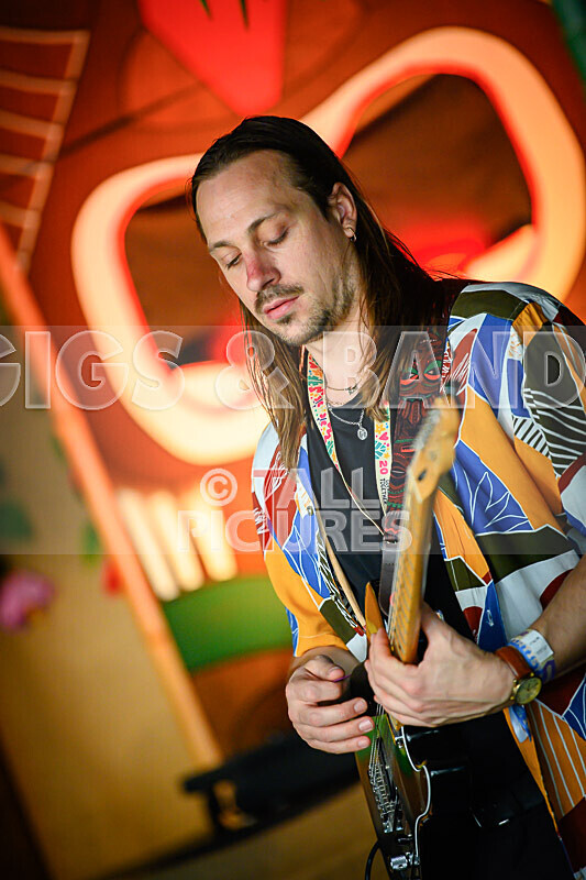 Arctic Donkeys-16 - ARCTIC DONKEYS