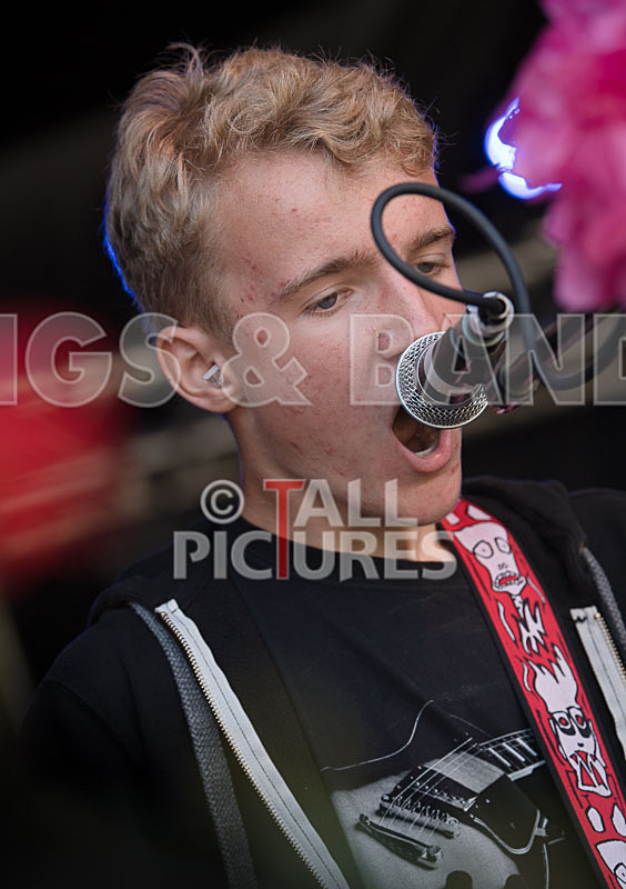 SoPM Vale Earth Fair-14 - SoPM on the VIEWALALU STAGE