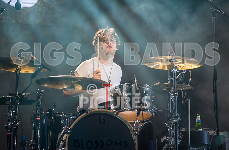 Blossoms-41 - BLOSSOMS