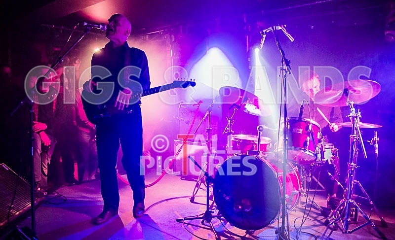 Wilko Johnson Farewell Tour-6 - THE WILKO JOHNSON BAND