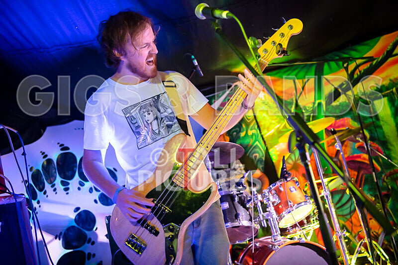 Tantale-537 - TANTALE