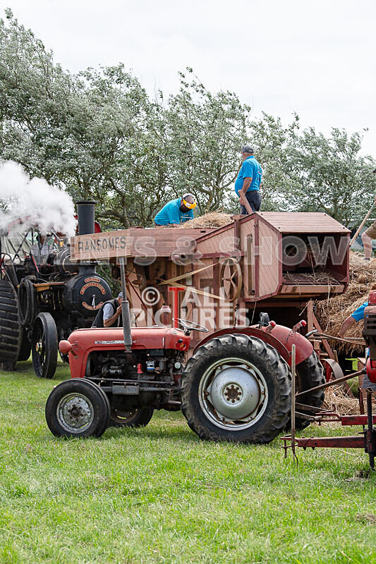 Guernsey Agricultural Show 2021-46 - GUERNSEY AGRICULTURAL SHOW 2021