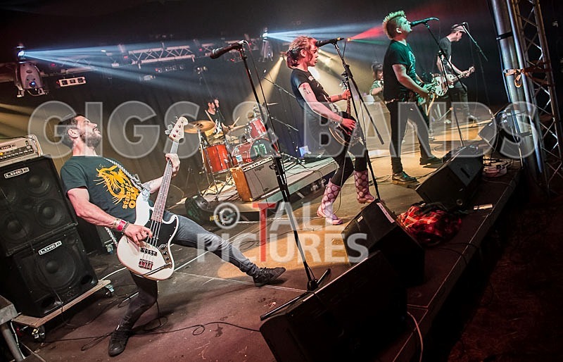 Roughneck Riot-6 - ROUGHNECK RIOT