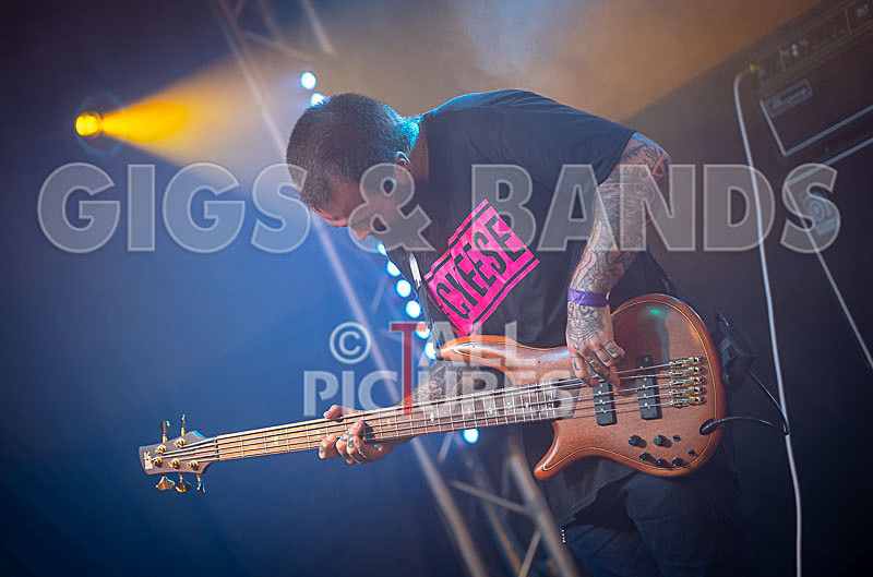 Static Alice-761 - STATIC ALICE