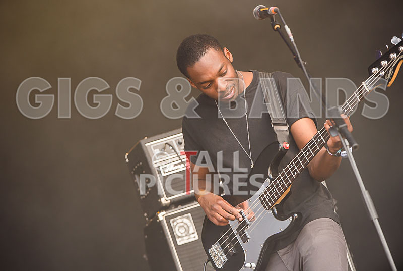 The Bohicas-28 - THE BOHICAS