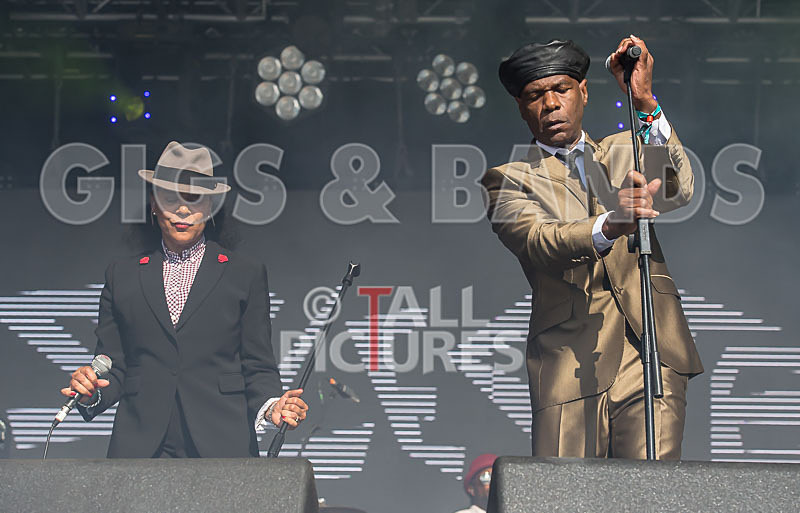 The Selecter-54 - THE SELECTER