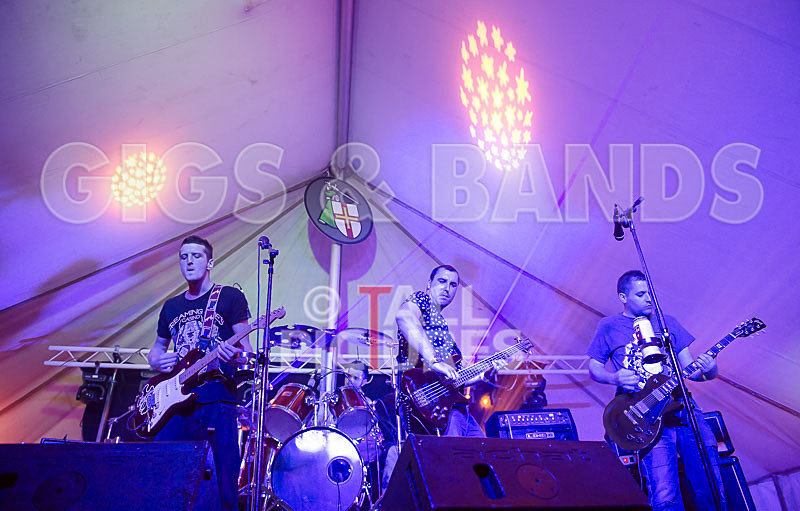 Subversion-29 - SUBVERSION