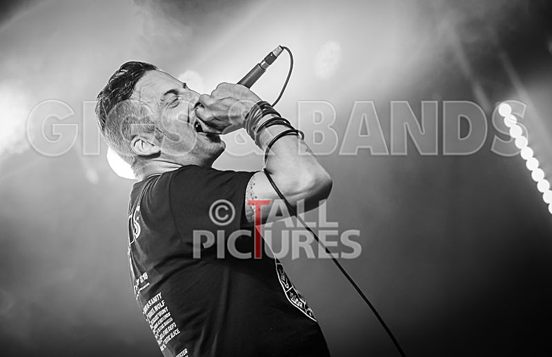 Spunge-130 - [spunge]