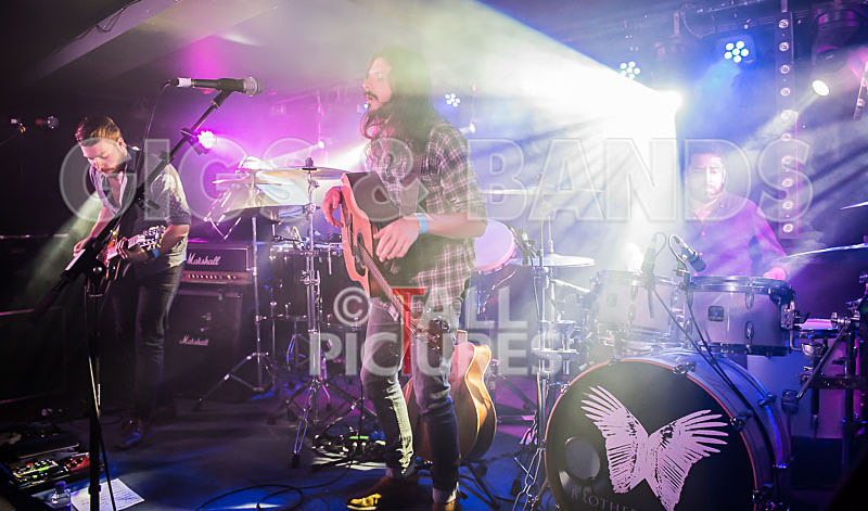 Brother  Bones-20 - BROTHER & BONES