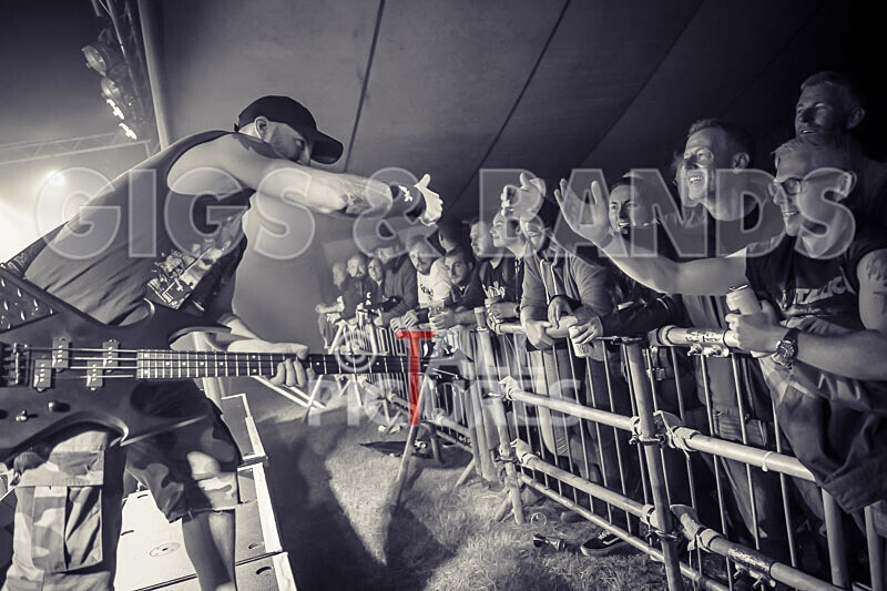 Maiden Guernsey-269 - MAIDEN GUERNSEY