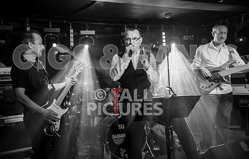 Elysium-243 - ELYSIUM