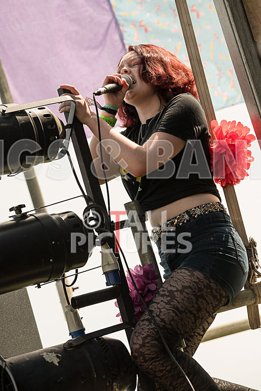 SoPM Vale Earth Fair-22 - SoPM on the VIEWALALU STAGE