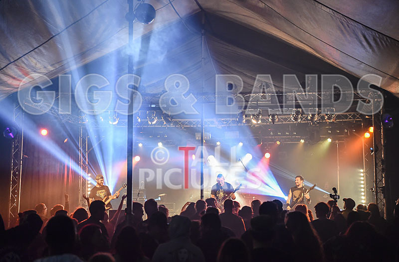 Demise of Sanity-139 - DEMISE OF SANITY