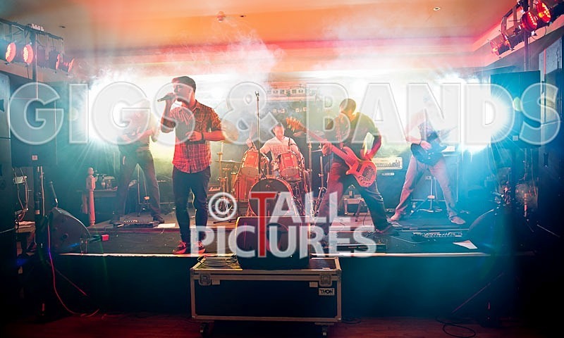 Destria-113 - DESTRIA