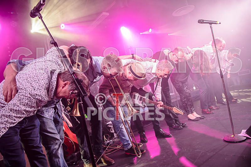 King Rat  the Soul Cats-422 - KING RAT AND THE SOUL CATS