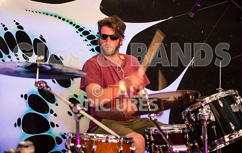 The Recks-294 - THE RECKS