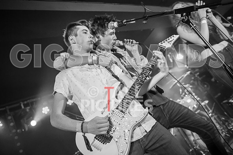 Francisco-99 - FRANCISCO