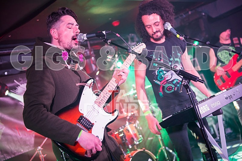 Harlequin Knights-53 - HARLEQUIN KNIGHTS