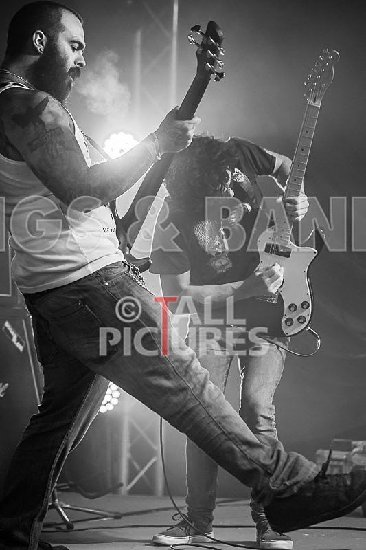 Static Alice-460 - STATIC ALICE