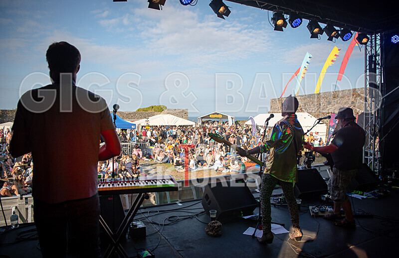 Mark Le Gallezs Rock N Roll Disaster-18 - MARK LE GALLEZ'S ROCK N ROLL DISASTER