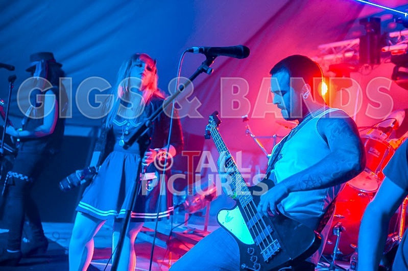 Static Alice-19 - STATIC ALICE