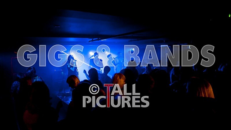 King Rat and the Soul Cats-65 - KING RAT & THE SOUL CATS