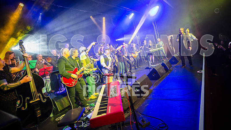 Harry Dean Junior and the New Breed-11 - HARRY DEAN JUNIOR AND THE NEW BREED