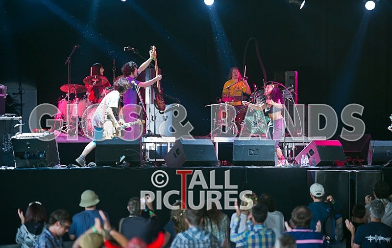 The Go Team-35 - THE GO! TEAM