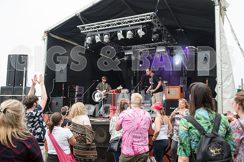 Vale Earth Fair 2015_Atmosphere-14 - VALE EARTH FAIR 2015_THE ATMOSPHERE