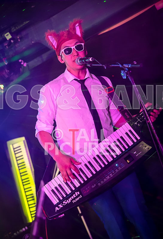 The Erawigs-6 - THE ERAWIGS