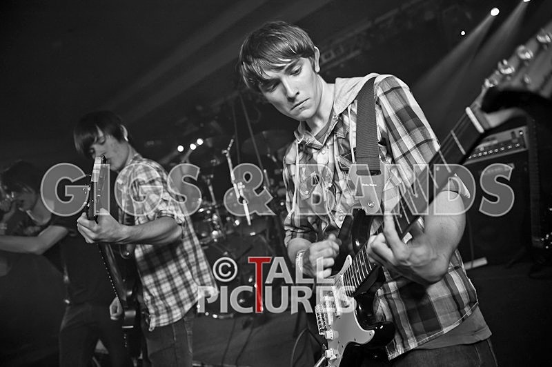 Feedback-82 - FEEDBACK at RoA-8