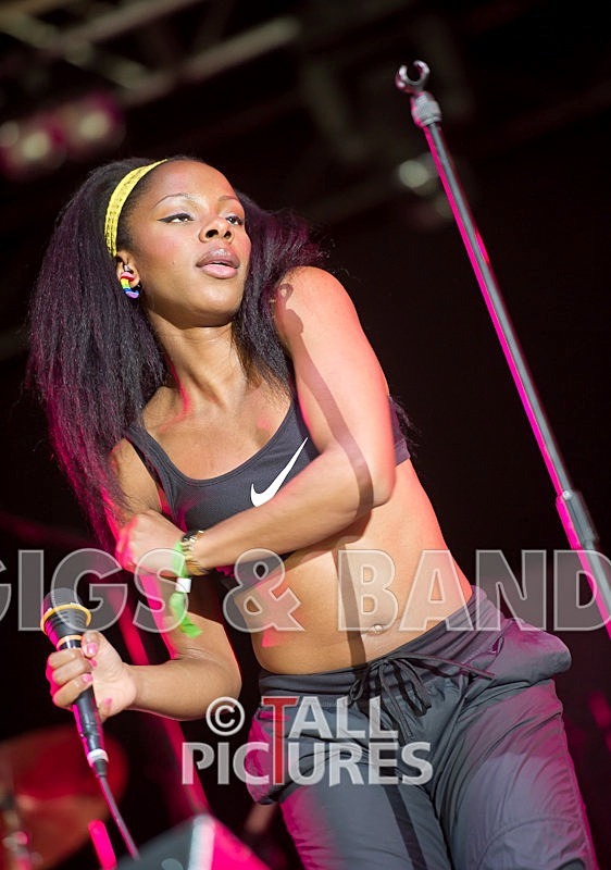 The Go Team-27 - THE GO! TEAM