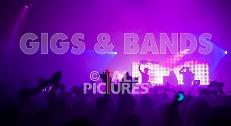 Jersey Live_2012_Good Vibes-14 - THE GOOD VIBES....