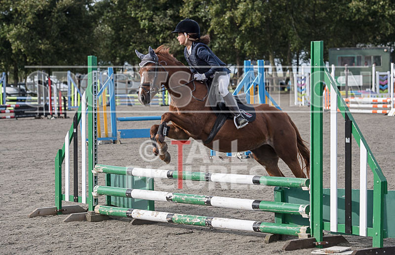 North Showjumping_2016-50 - NORTH SHOW SHOWJUMPING 2016