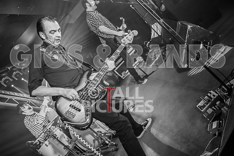 The Electric Shakes-56 - THE ELECTRIC SHAKES