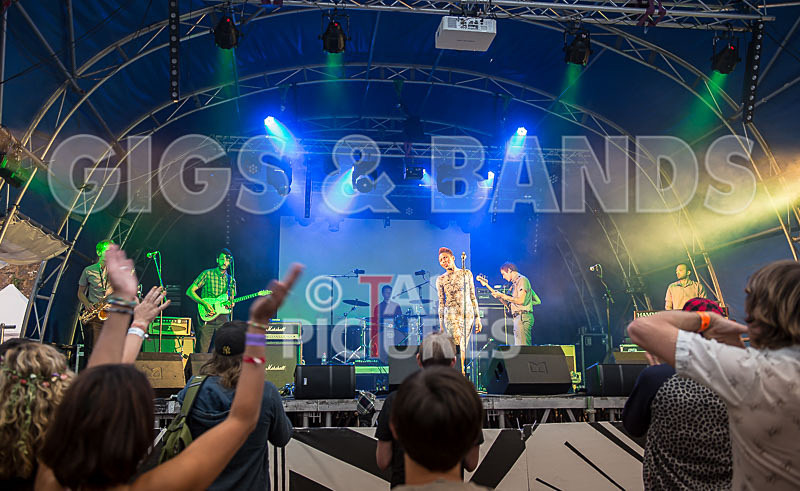 The Delegators-33 - THE DELEGATORS