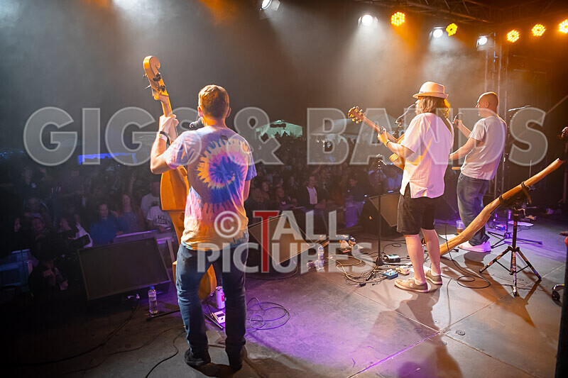 Buffalo Huddleston-670 - BUFFALO HUDDLESTON