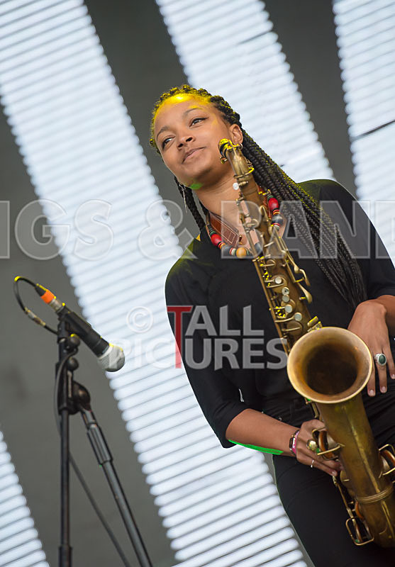 Kiko Bun-33 - KIKO BUN